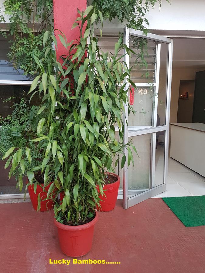 Hotel Stone House Mahābaleshwar Buitenkant foto